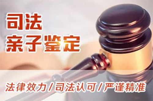 遂宁司法亲子鉴定到哪里,遂宁司法DNA鉴定手续和流程